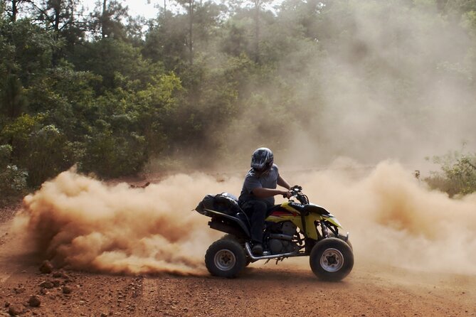 Quad Safari 