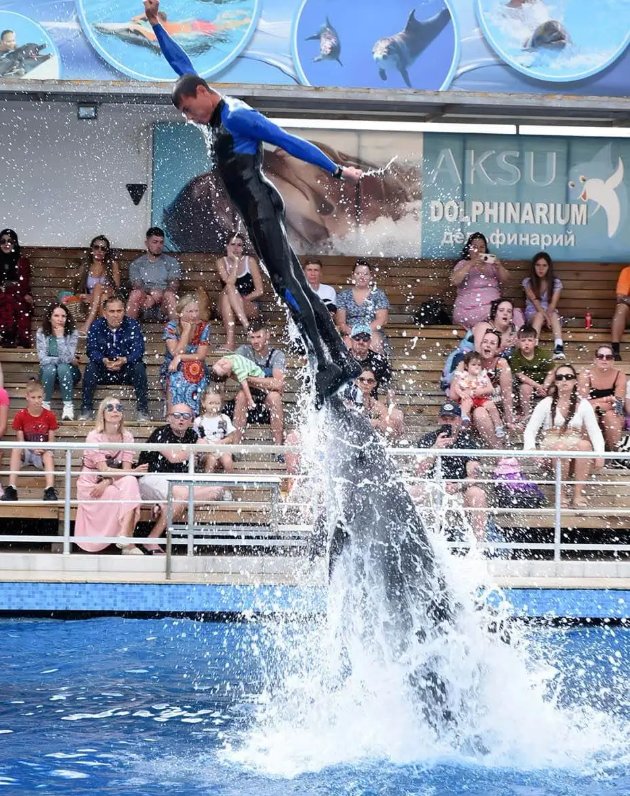 Kundu Dolphin Show 