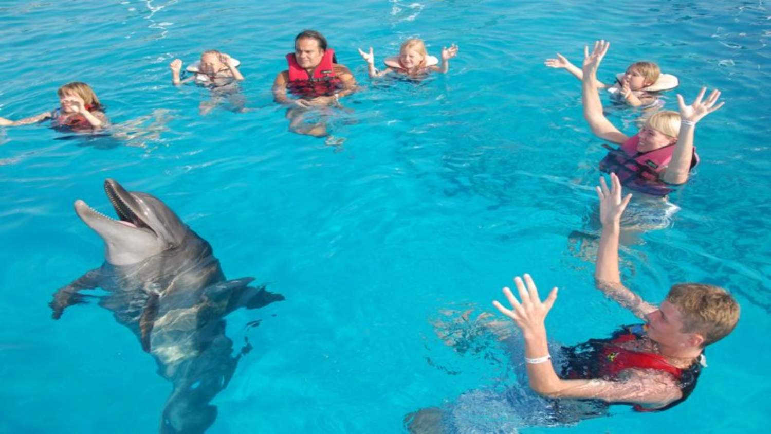 Swimming with Dolphins Tour in Alanya 