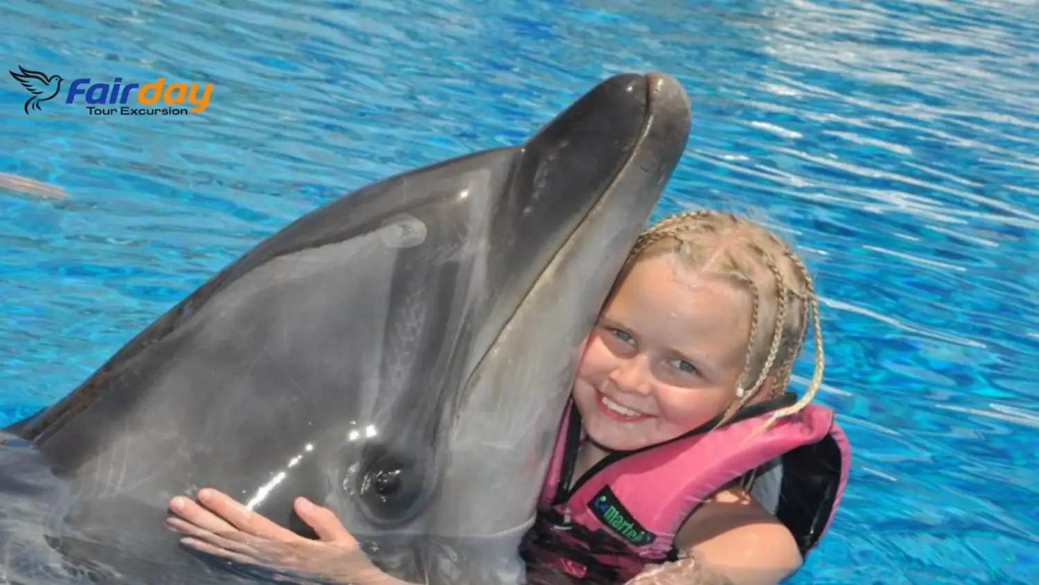 Swimming with Dolphins Tour in Alanya 