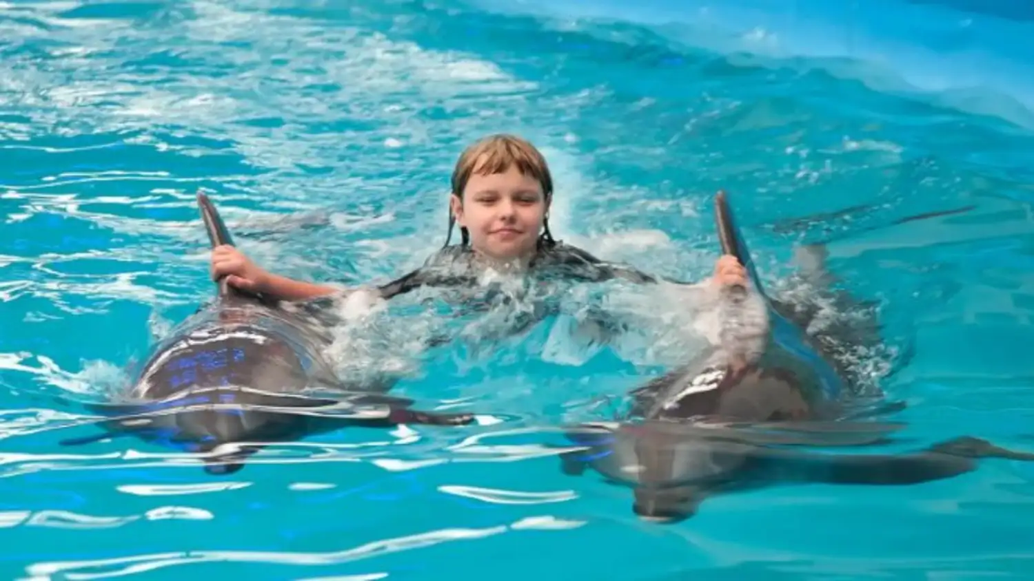 Kundu Dolphin Show 