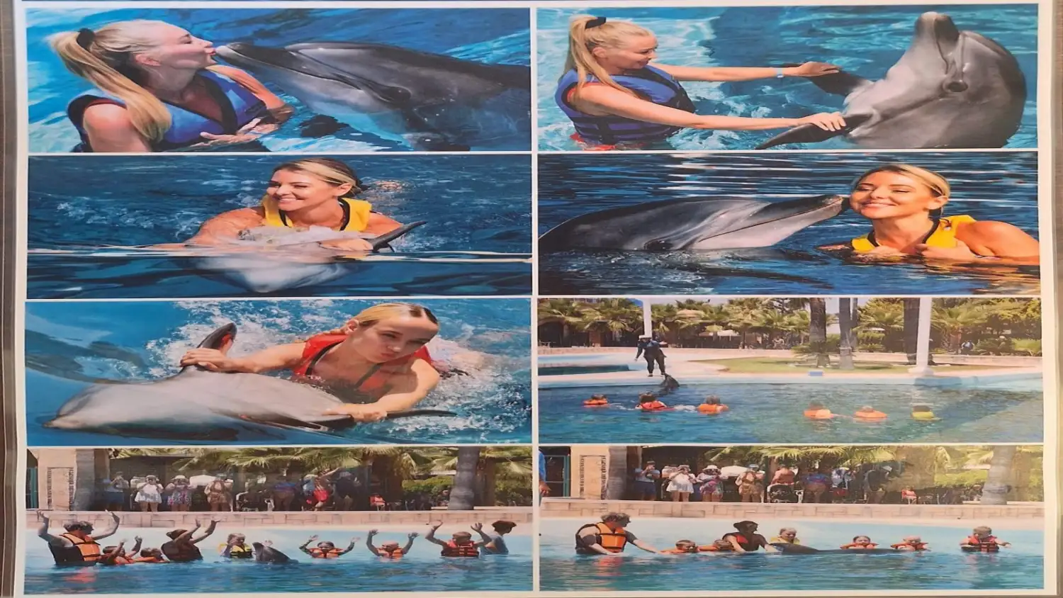Swimming with Dolphins Tour in Alanya 