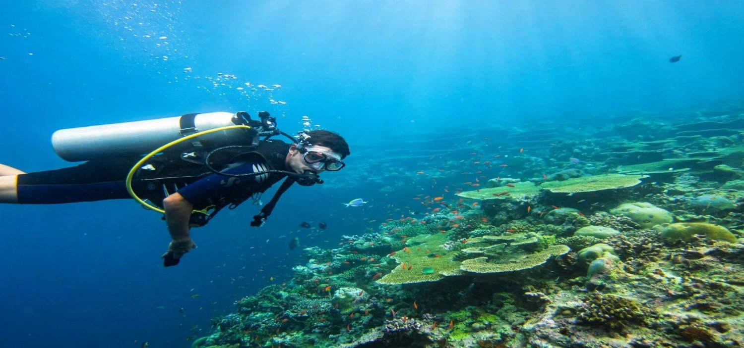Alanya Dalış Turu Alanya Dalış Turu
