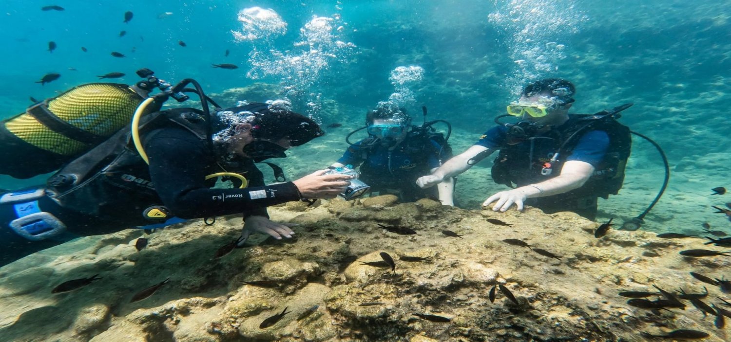 Alanya Dalış Turu Alanya Dalış Turu