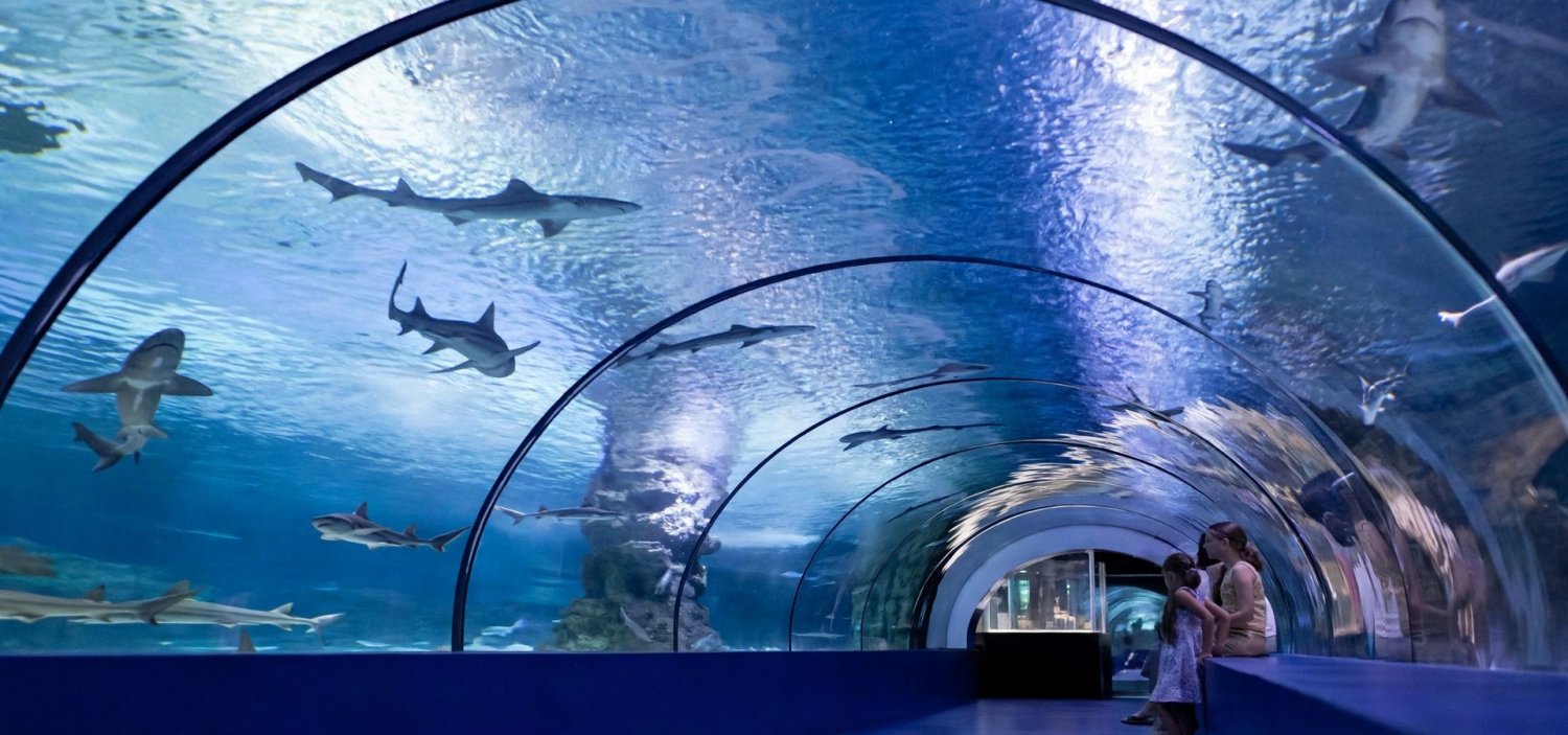 Aquarium Aquarium
