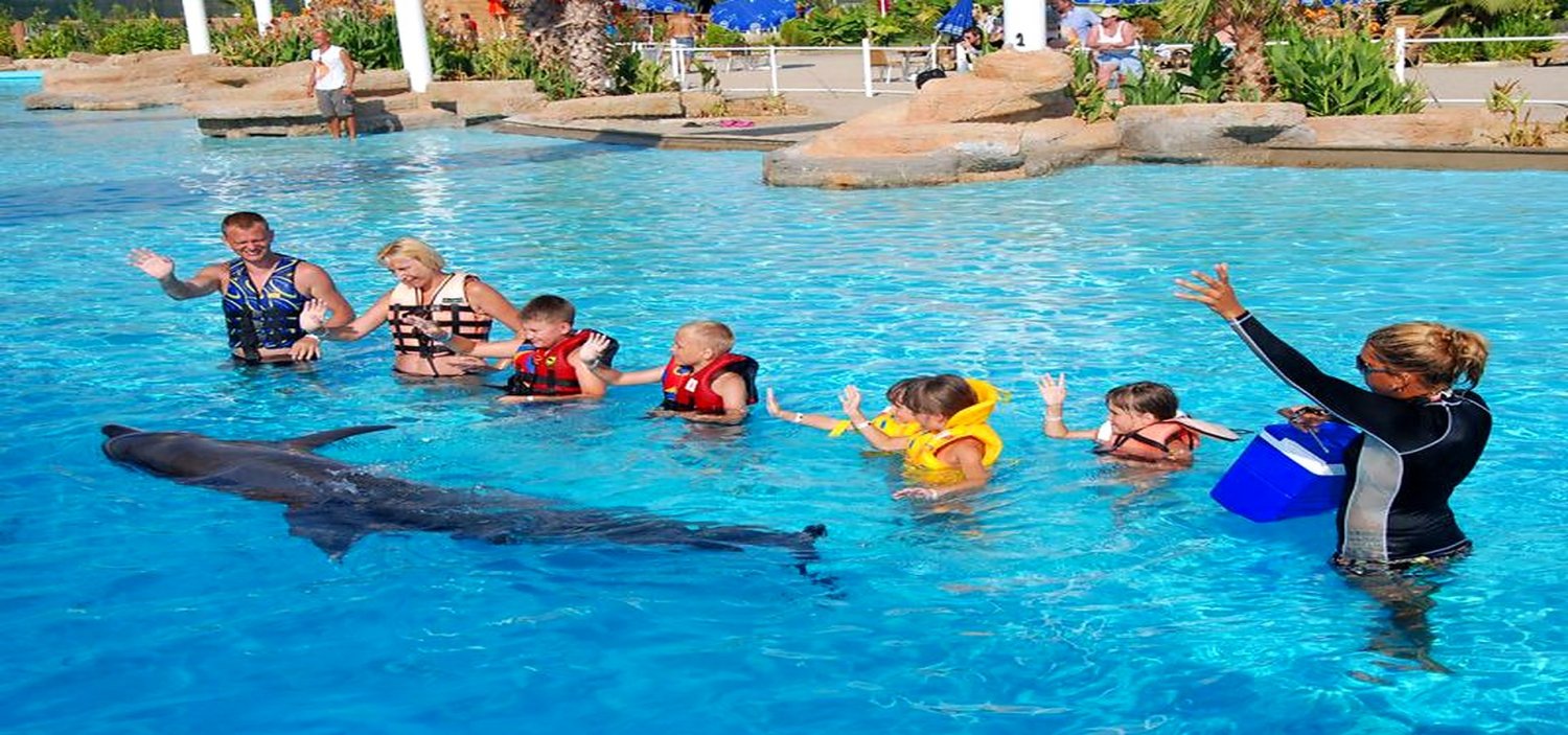 Swimming with Dolphins Tour in Alanya Swimming with Dolphins Tour in Alanya