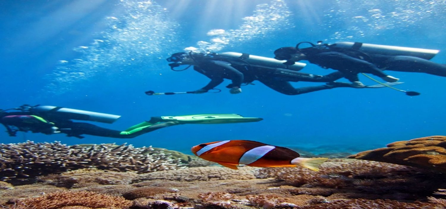 Alanya Dalış Turu Alanya Dalış Turu