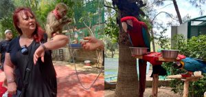 Alanya Green Canyon Cabrio Safari & Zoo