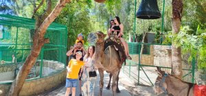 Alanya Green Canyon Cabrio Safari & Zoo