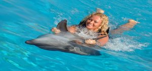 Swimming with Dolphins Tour in Alanya