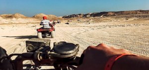 Quad Safari