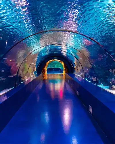 Aquarium Special