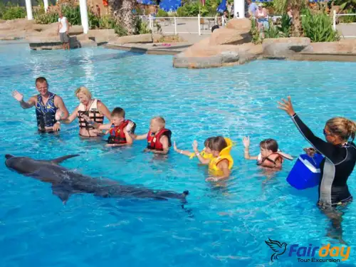 Swimming with Dolphins Tour in Alanya