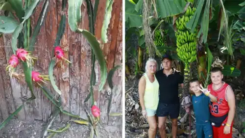 Alanya Sapadere Canyon Tour