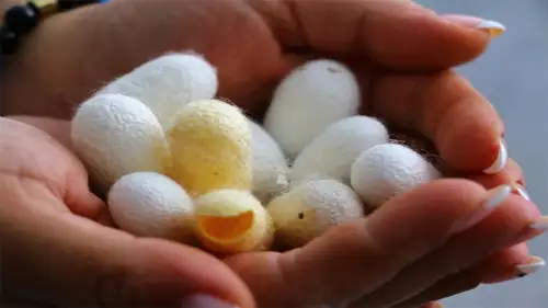 Alanya Sapadere Canyon Tour