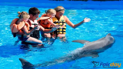 Swimming with Dolphins Tour in Alanya
