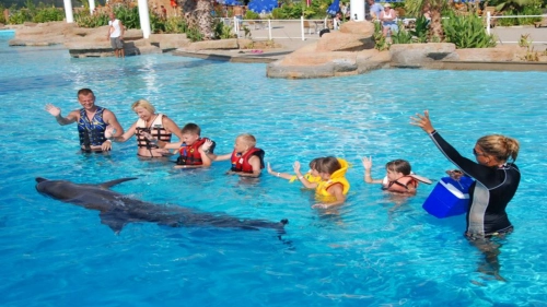 Swimming with Dolphins Tour in Alanya