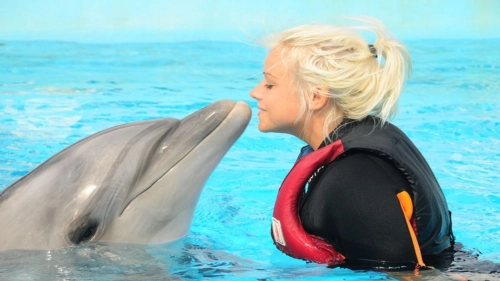 Swimming with Dolphins Tour in Alanya