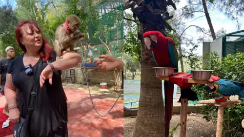 Alanya Green Canyon Cabrio Safari & Zoo