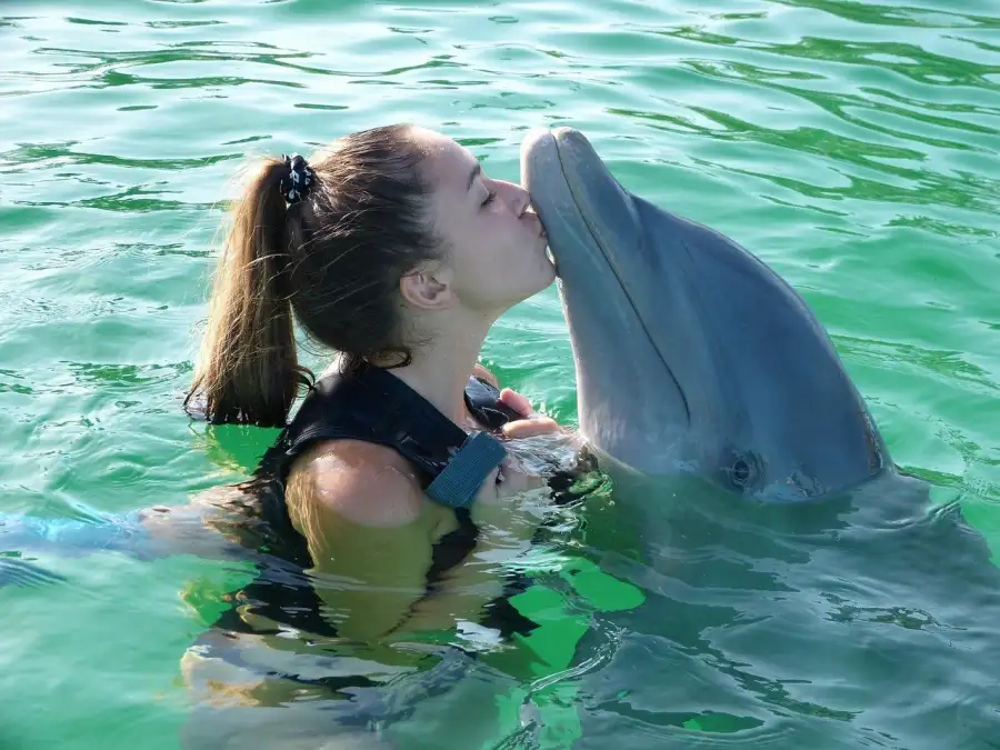 Alanya Yunus Gösterisi