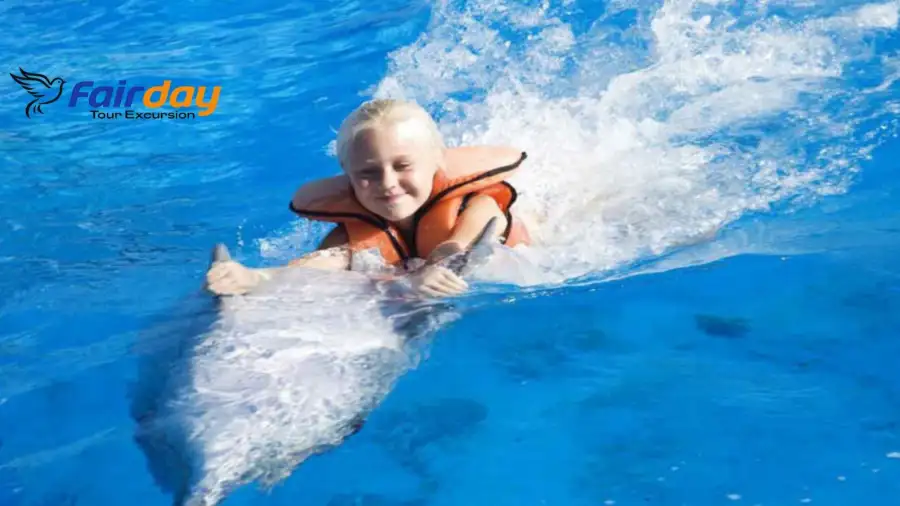 Swimming with Dolphins Tour in Alanya