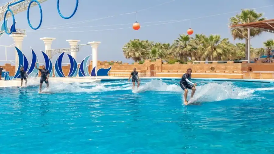Alanya Dolphin Show